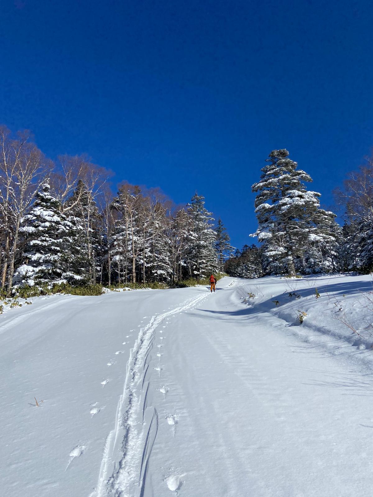 雪山写真05